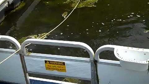 Water Weed Removal | Remove Floating Debris and Weeds with the DeSkuzzer Video