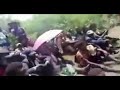 Eeyba WBO Gaachana Sabaa Halelii Halelii Irraa Jaal Abdii Koo Jechaa WBO N Eeyba WBO Gaachana Sabaa Halelii Halelii Irraa Jaal Abdii Koo Jechaa WBO N