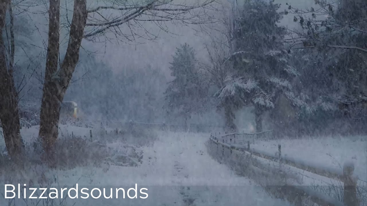 Intense Snowstorm Sounds ️ Blizzard Wind for Deep Sleep & Focus - YouTube