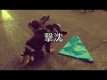 こまの昔の動画。※画質が悪いです