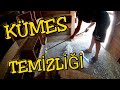 BÜYÜK KÜMES TEMİZLİĞİ | KÜMES NASIL TEMİZLENİR? | KİREÇLEME VE KUM SERPME