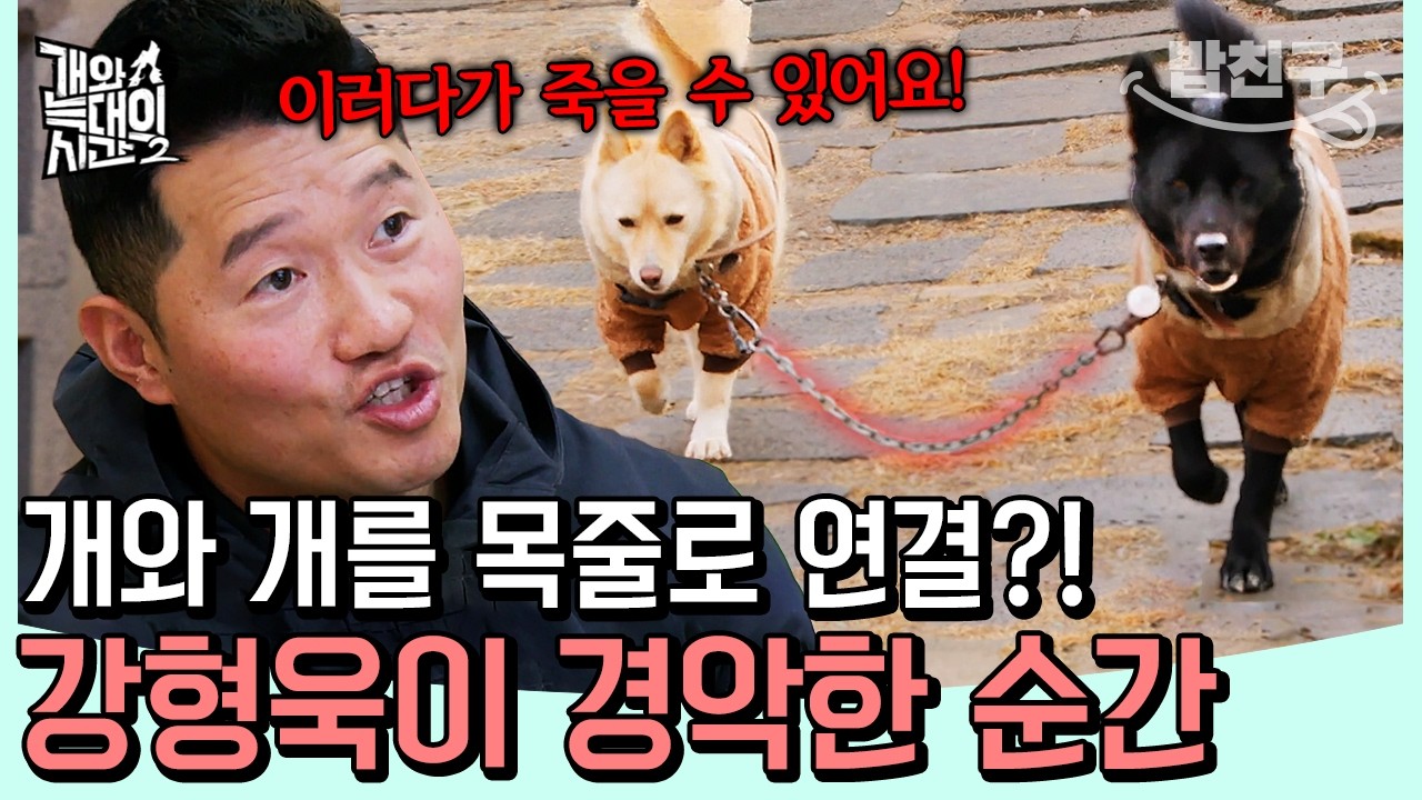 [#밥친구] 개 두 마리를 한 줄에? 묶인 목줄에 질질 끌려다니는 개… 강형욱의 위험 경고 | #개와늑대의시간2 7회