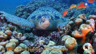 Extra Divers Gili Trawangan Indonesia