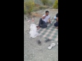 بشاگرد