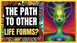 Aliens Await? The SHOCKING Power Of DMT Revealed | Neuropharmacologist Dr Andrew Gallimore