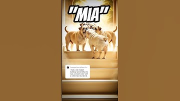 comment your name if you want your name featured next.#art #nameart #graffiti #tagging #rip #sad