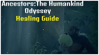 Ancestors Healing Guide Ancestors The Humankind Odyssey