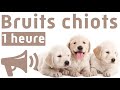 Bruits pour chiots compilation 1 heure