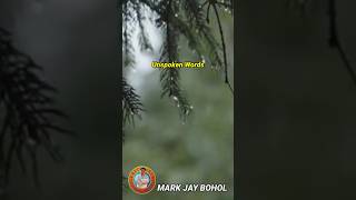 Unspoken Words