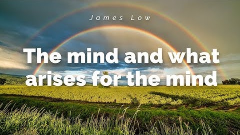 The mind and what arises for the mind. Zoom 04.2020