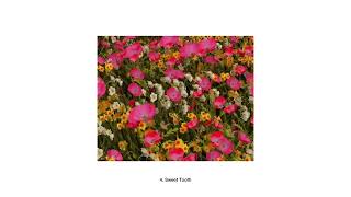 The Wldlfe  Sweet Tooth  