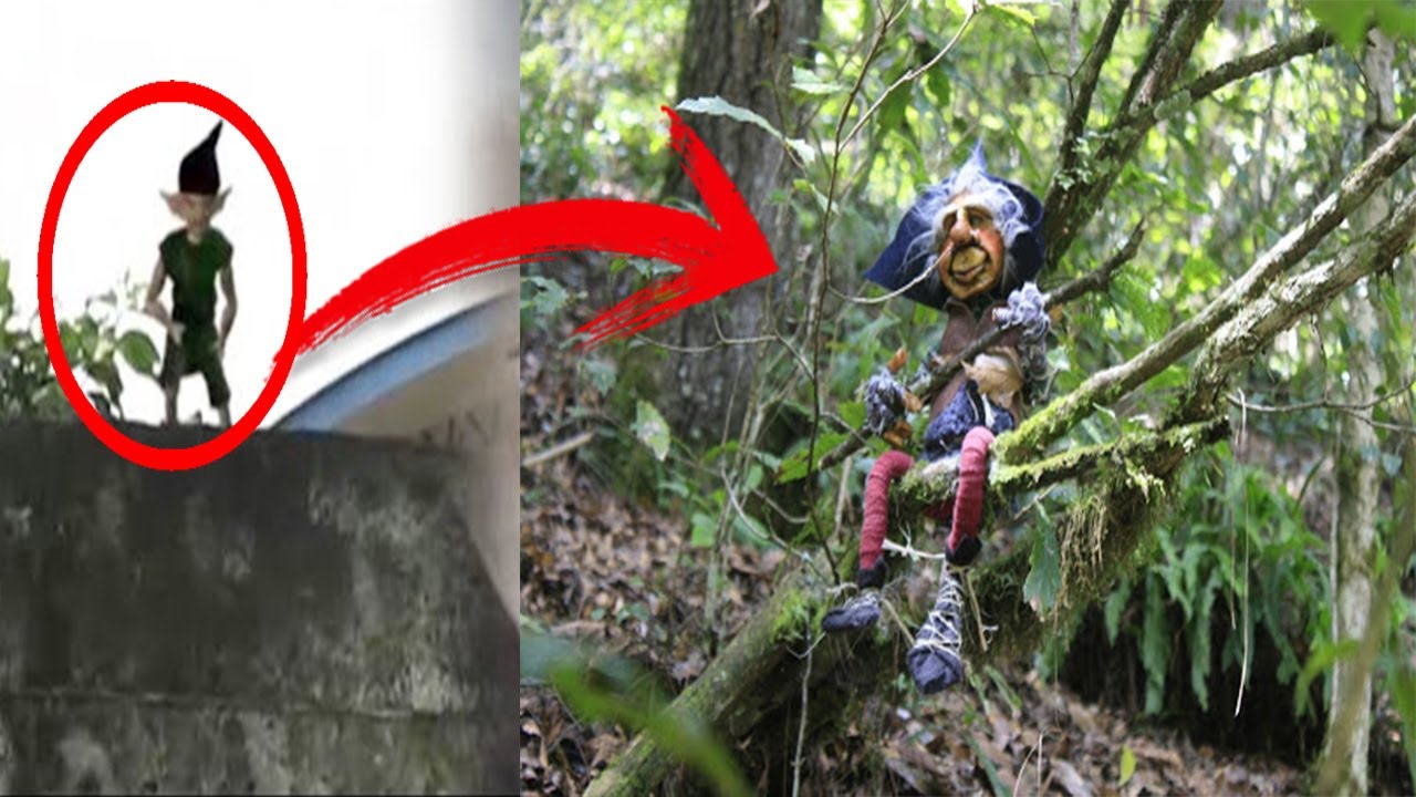 Como Son Los Duendes En La Vida Real 5 DUENDES GRABADOS Y VISTOS EN LA VIDA REAL - YouTube