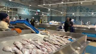 Fish Market umm salal - Qatar