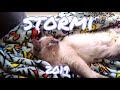 Stormi Compilation | 2019