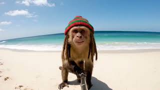 Tsunami Vs Jahmunkey