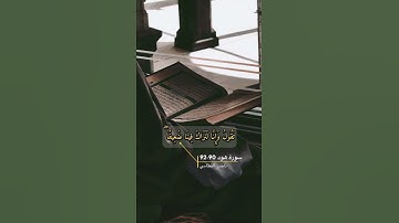 سورة هود الايه 90-92