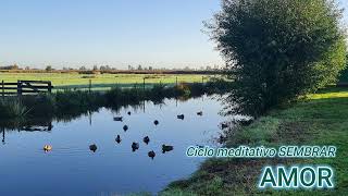 Ciclo meditativo SEMBRAR  Amor