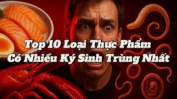👉 10 Loại Thực Phẩm Có Nhiều Ký Sinh Trùng Nhất – Ngon Nhưng Tiềm Ẩn Nguy Cơ Gây Bệnh Nguy Hiểm!