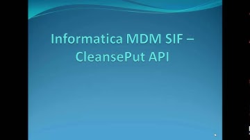 13. Informatica MDM SIF - CleansePut API