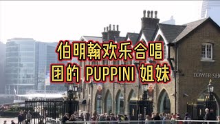伯明翰欢乐合唱团的 Puppini 姐妹#英国#英国生活#伯明翰#欢乐合唱团#Puppini姐妹#查尔斯国王#英国巡演#魅力#精湛#优雅