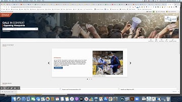 Gale Opposing Viewpoints