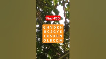 Observation Visual Test: 5 Seconds ForYou To Spot FSD. Try Your Skills! #search #puzzle #shorts
