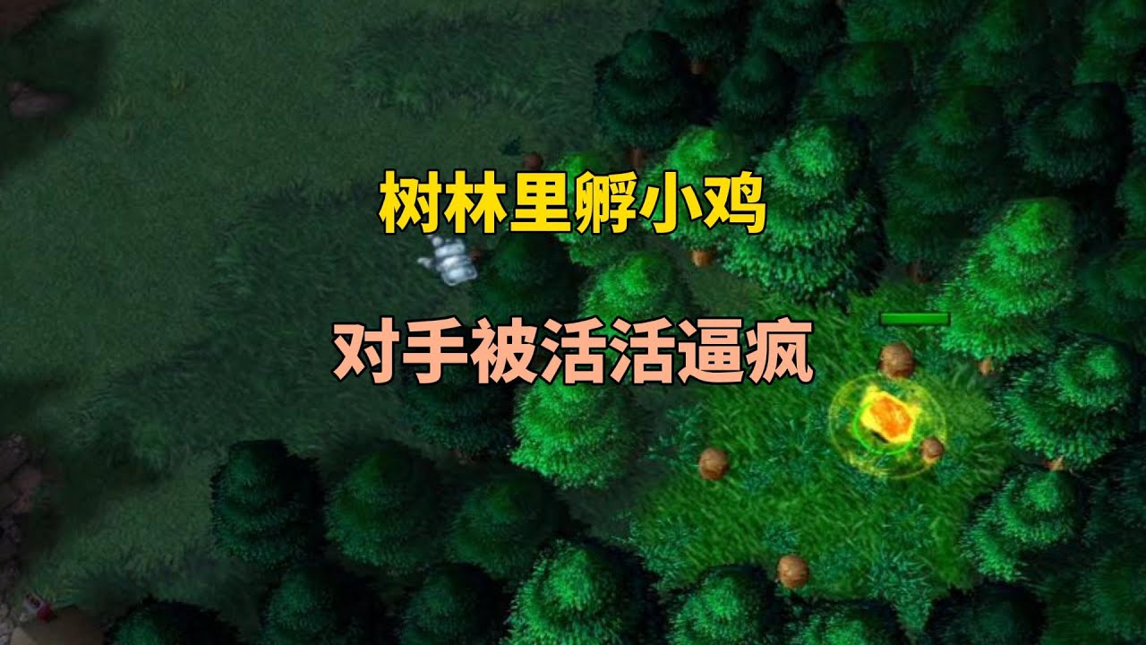 林瓜瓜在树林里孵小鸡，把对手活活逼疯，这是什么操作？魔兽争霸3