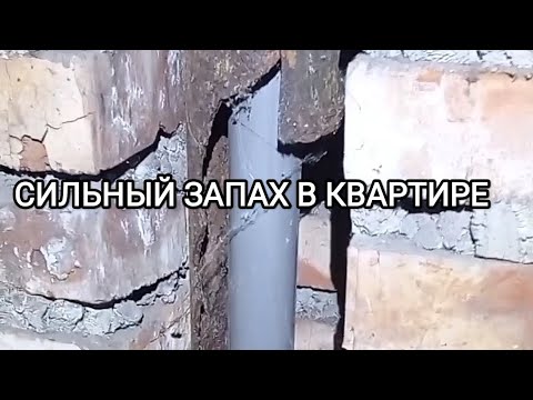 🤯Сильный Запах Канализации в Ванной|Неприятный Запах в Квартире и Санузле❓