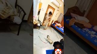 Kutta Kitna Pyraa Hai Filing Samjhta Hai