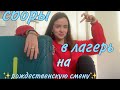 СБОРЫ В ЛАГЕРЬ (IP Russia one love)