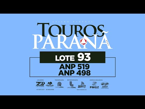 LOTE 93 ANP 519 ANP 498