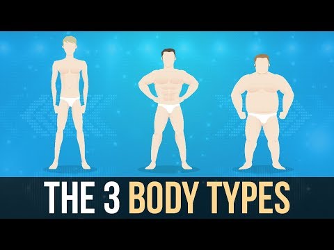 The 3 Body Types - Mesomorph, Ectomorph and Endomorph.