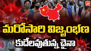 Corona Virus Impact in China | Why COVID Cases Are On The Rise Again | Beijing | Xi Jinping |YOYO TV