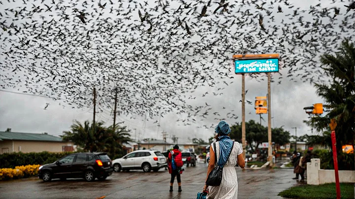Das wurde wirklich mit der Kamera gefilmt