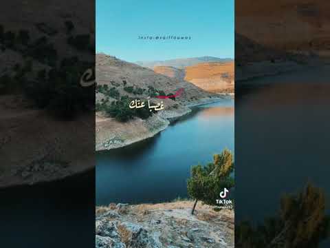 ادهم النابلسي كلشي قرار
