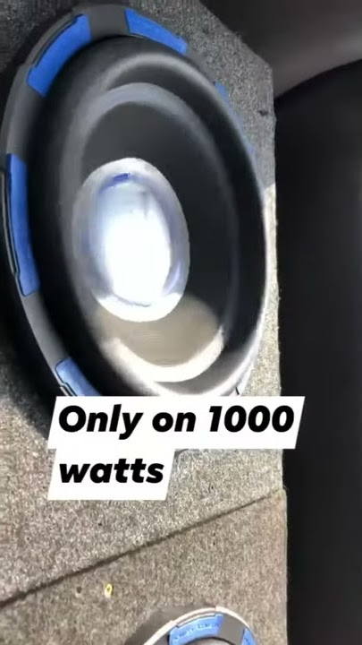 Power acoustic Gothic 12s definitely worth it