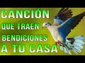 La cancin cristiana ms hermosa del mundo 2023  canciones que traen bendiciones a tu casa