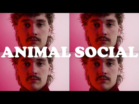 BILBAO KUNG-FU - ANIMAL SOCIAL (Clip)