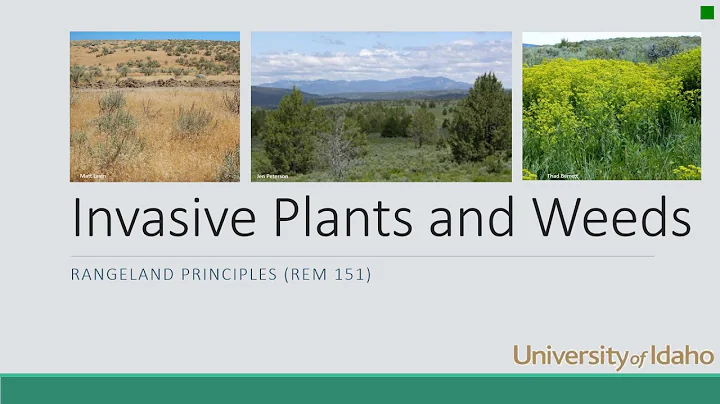 Invasive Plants & Weeds on Rangeland