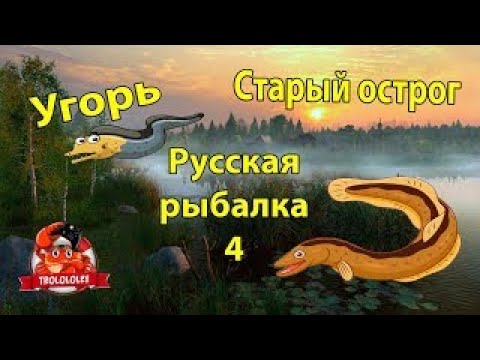 Видео: Русская рыбалка 4 Угорь на старом остроге