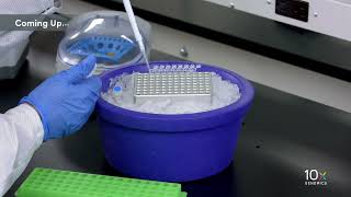 Famous Single Cell Gene Expression LT Protocol v3.1 | Getting Started Profile