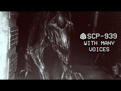 SCP-1000 - Bigfoot 🐵 : Object Class - Keter : Humanoid SCP