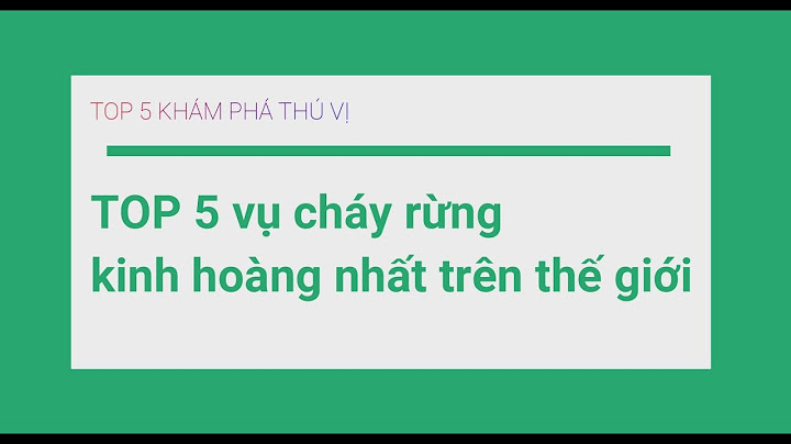 Cháy rừng lớn nhất the giới