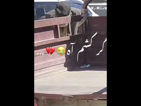 ویدیو بسیار غمگین و ناراحت کننده افغانستان