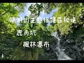 4K I 鹿角坑生態保護區 I 楓林瀑布 I 陽明山國家公園秘境 I 楓林溪 I Nature I National Park