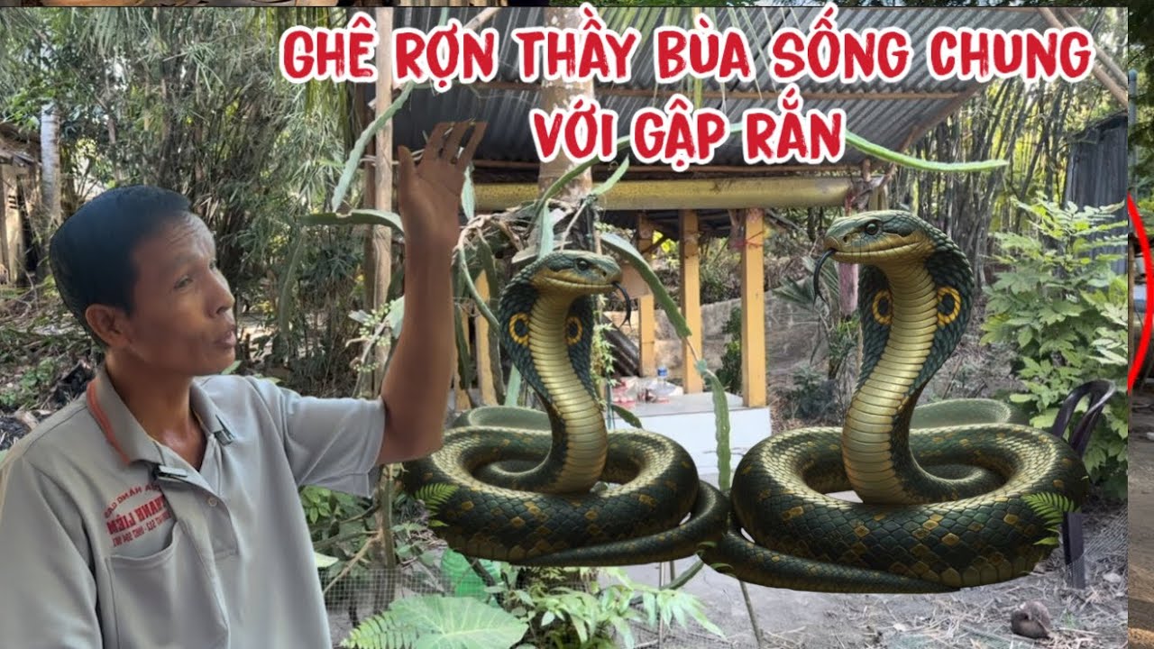 Thầy bùa núi sống trong rừng vì sao thương vong linh 