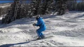Playing in the Moguls with Bobby Aldighieri and Deb Armstrong Net Worth