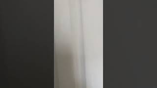 2832 Monument Avenue Apt 12