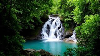 Natural Waterfall River Sounds 🌿 Relaxing Audio for Meditation and Sleep