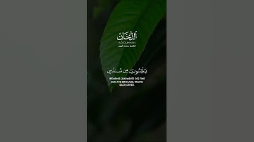 الا بذكر الله تطمئن القلوب#القرآن_الكريم #راحة_نفسية #القرآن_حياه #تلاوة_خاشعة #تلاوة_هادئة